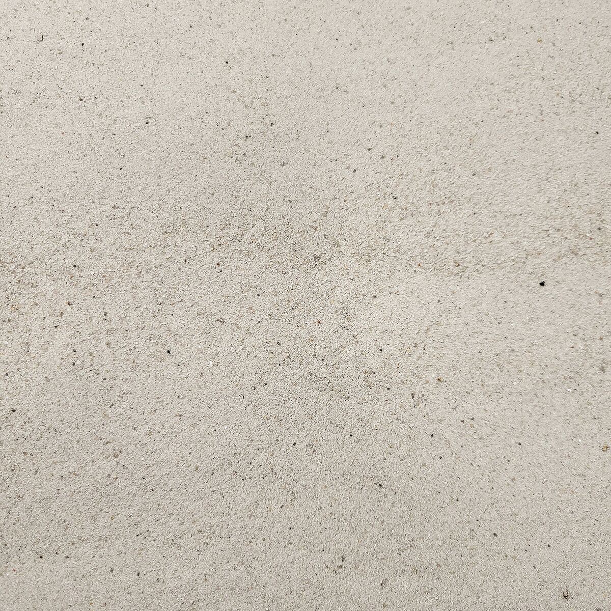 Large-112012.jpg