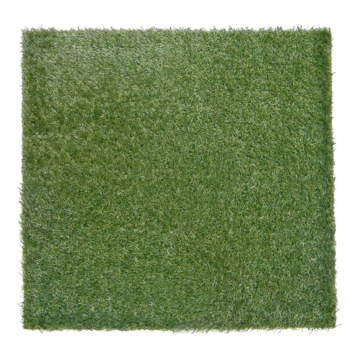 Large-181461_01.jpg