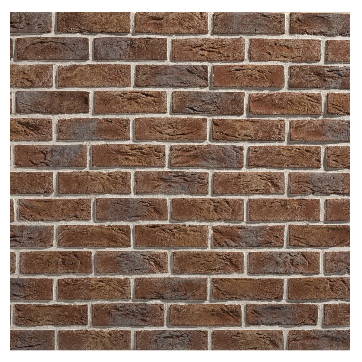 Large-330103.jpg