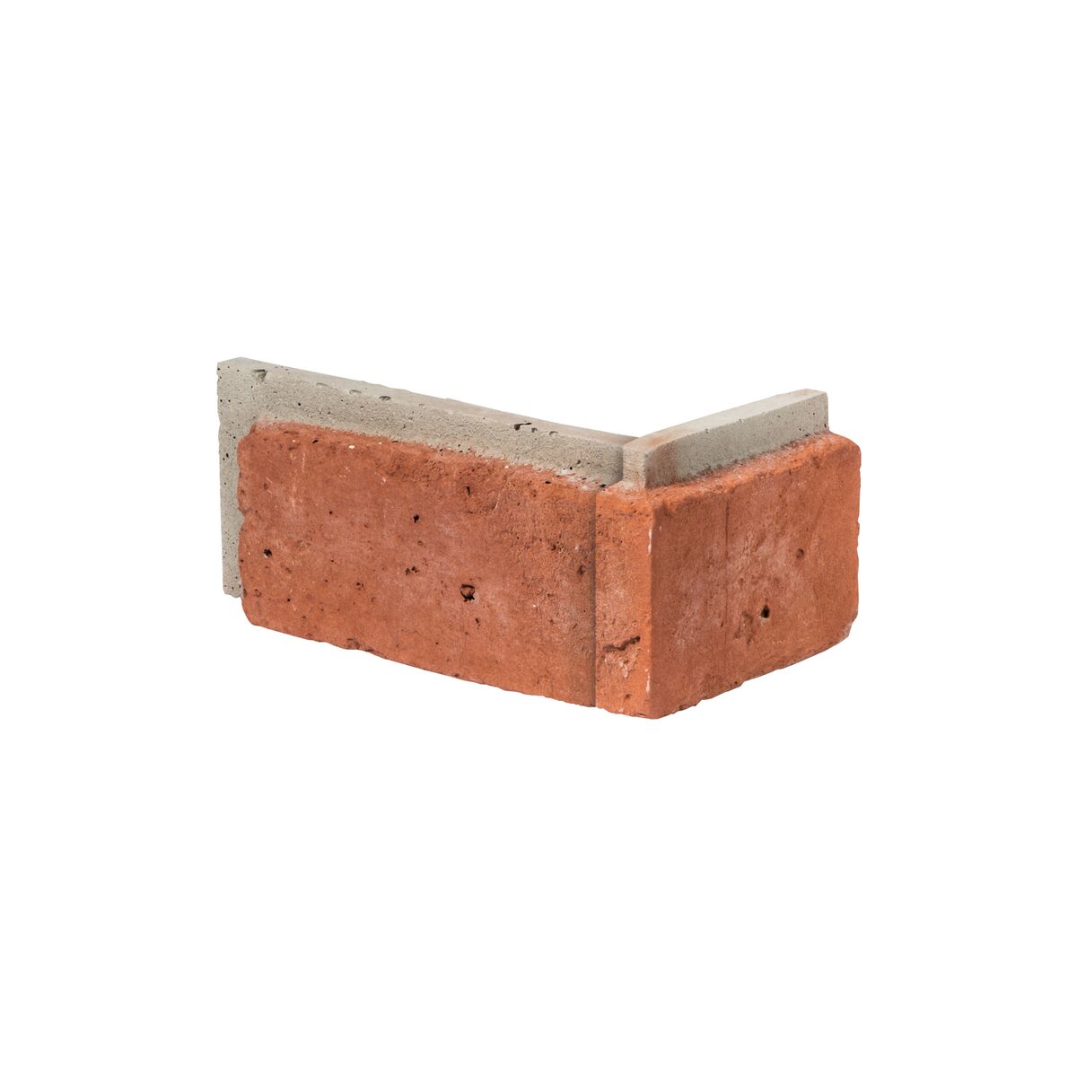 Large-330314.jpg