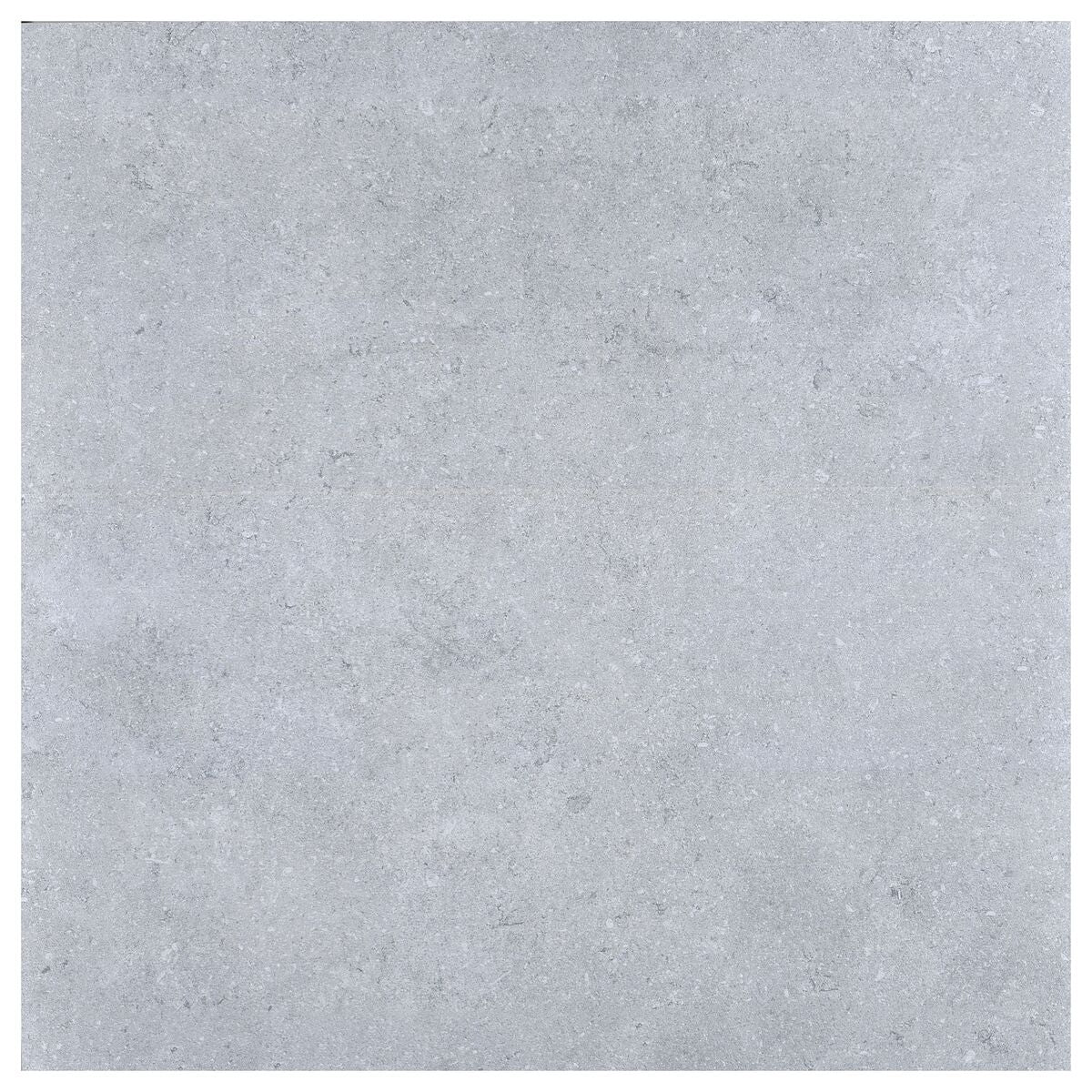 Large-425910.jpg