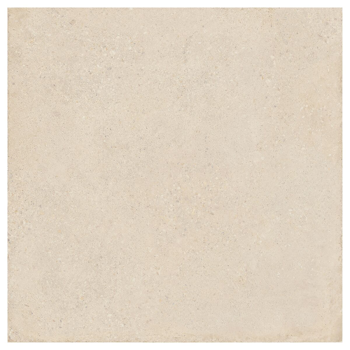 Large-425964.jpg