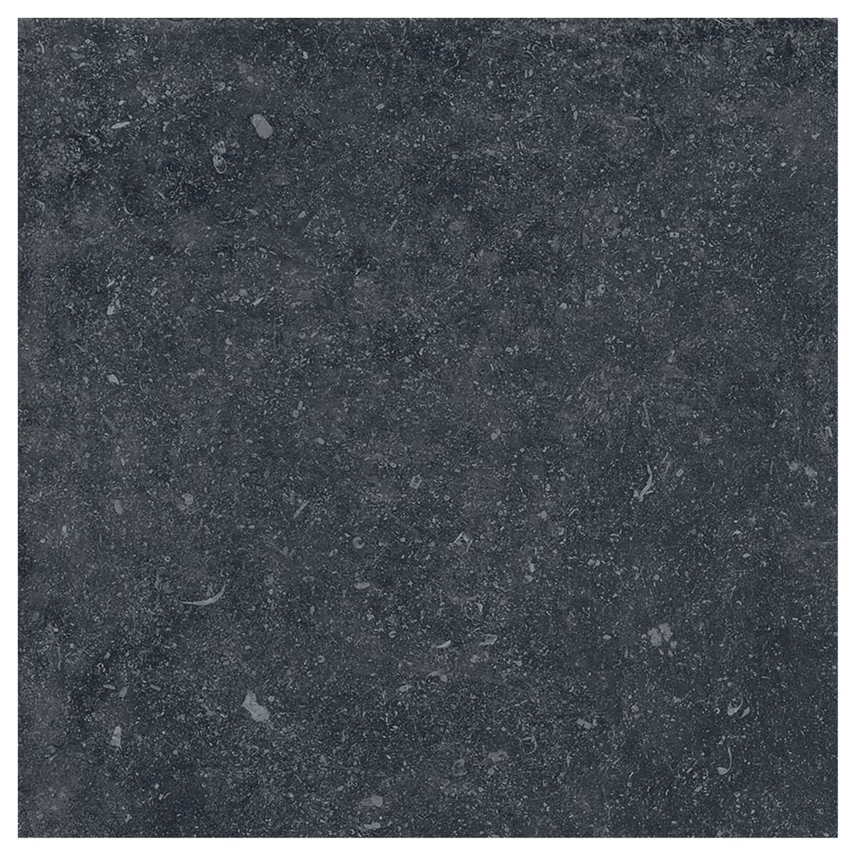 Large-426090.jpg