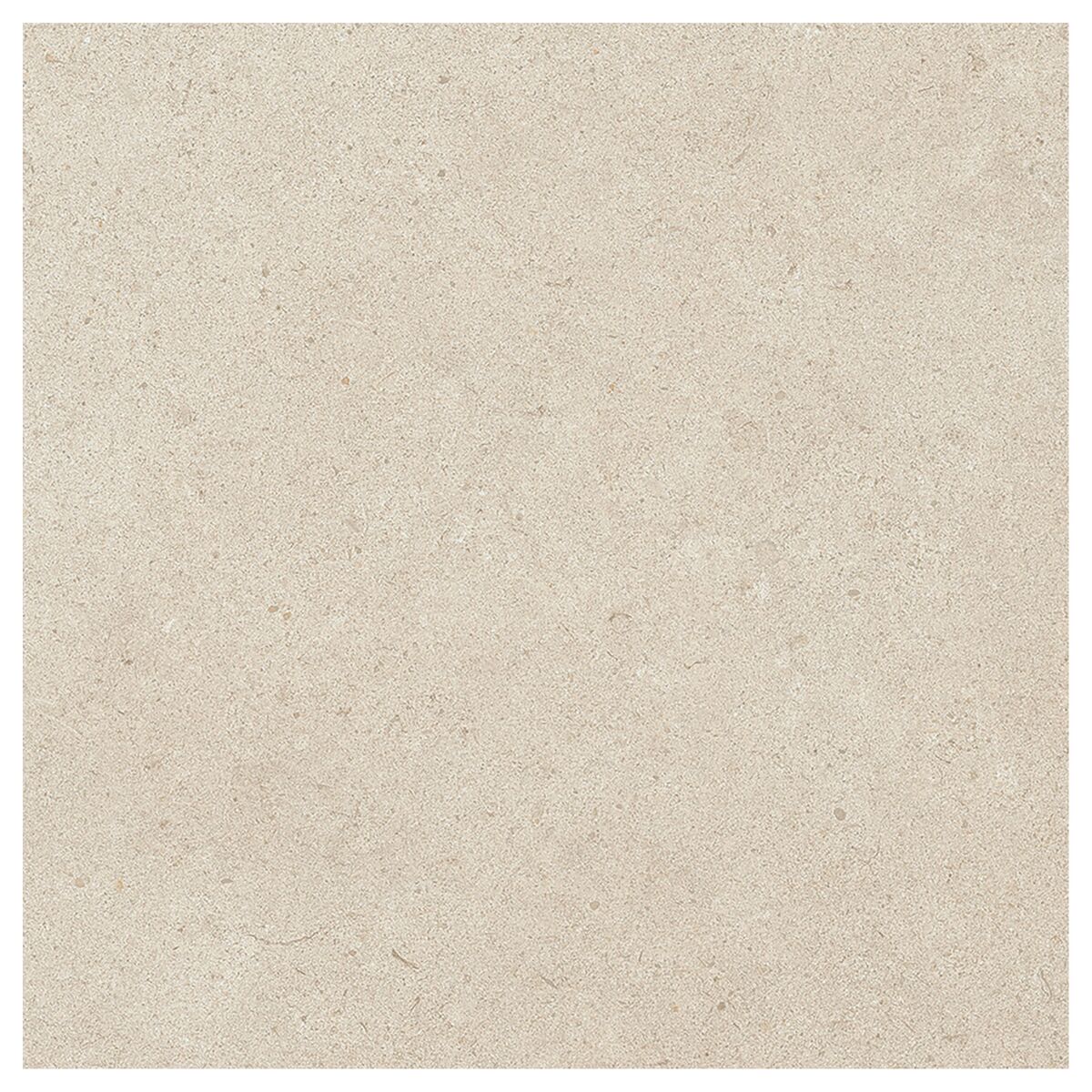 Large-426091.jpg