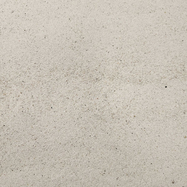 Large-112012.jpg