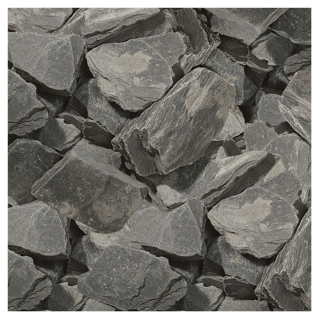 Large-112437.jpg