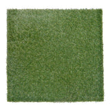 Large-181461_01.jpg