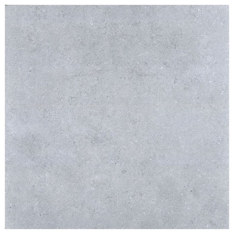 Large-421940.jpg