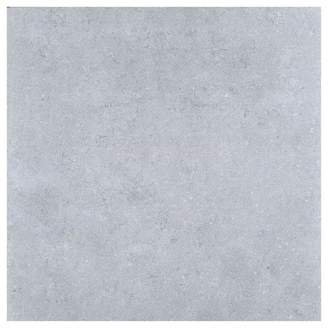 Large-421940.jpg