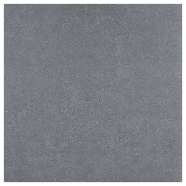 Large-421941.jpg