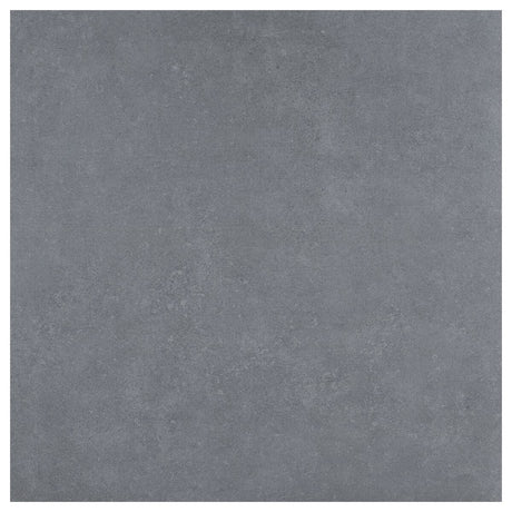 Large-421941.jpg