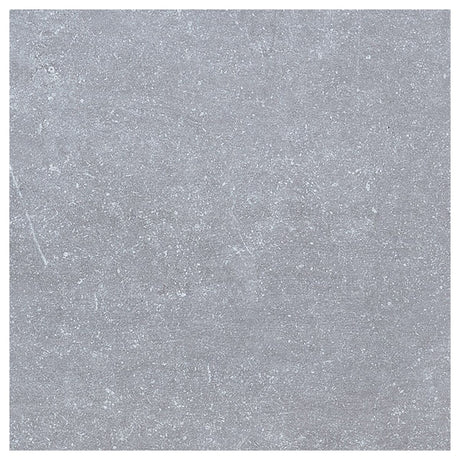 Large-421952.jpg