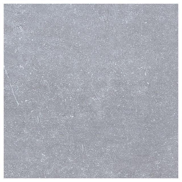 Large-421952.jpg