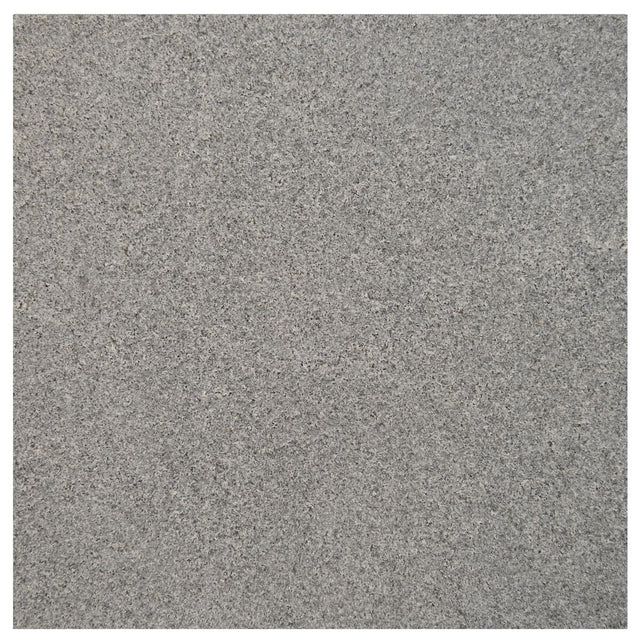 Large-421953.jpg