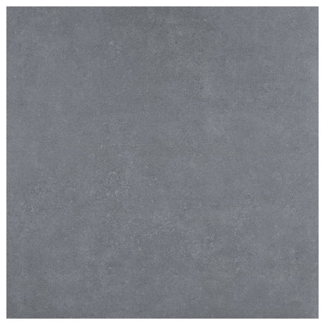 Large-425911.jpg