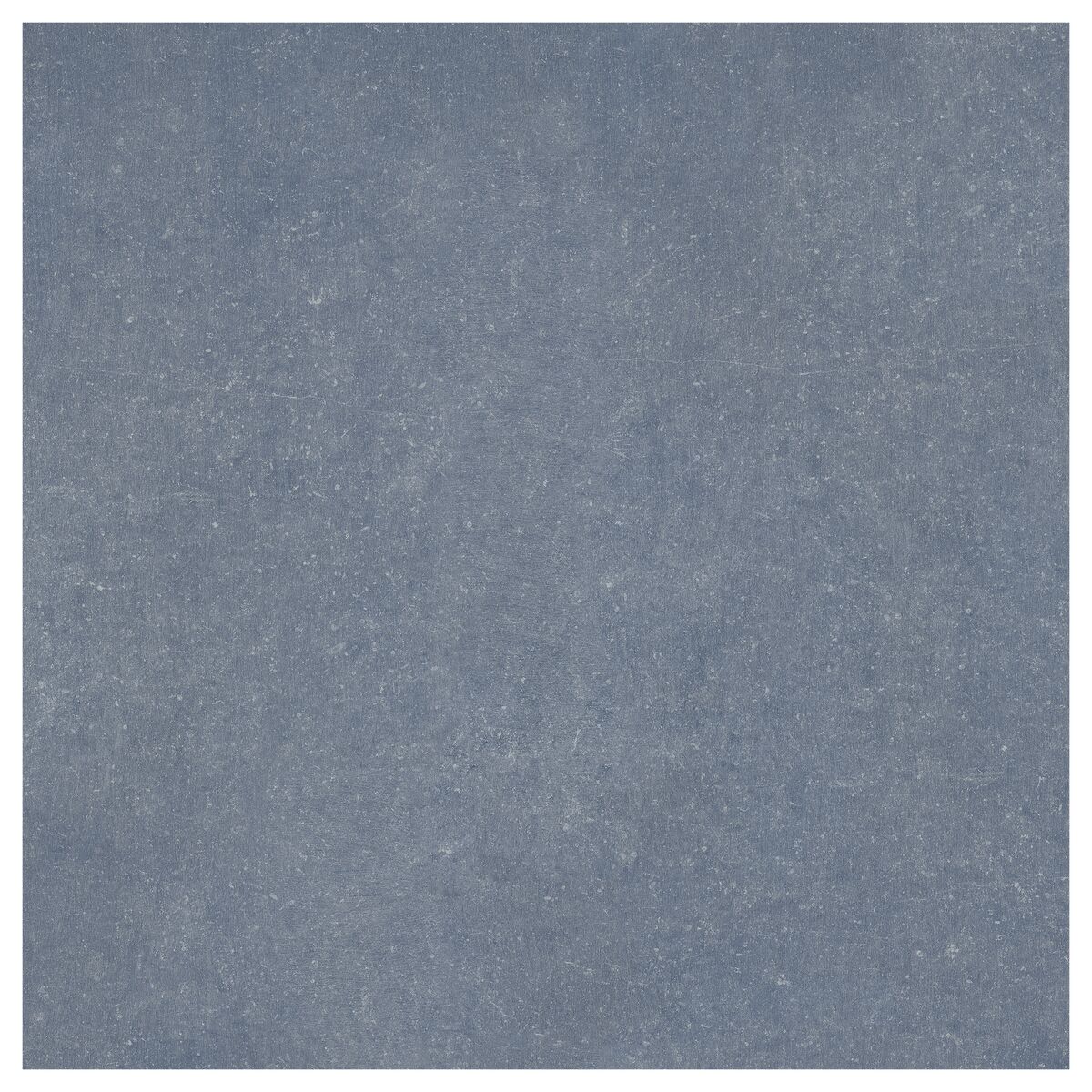Large-425963.jpg