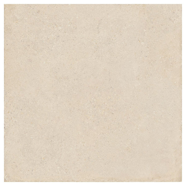 Large-425964.jpg