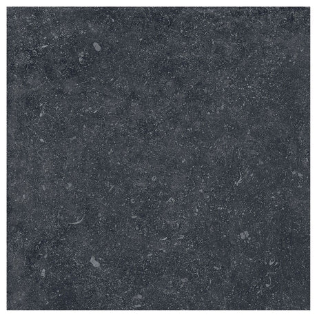 Large-426090.jpg