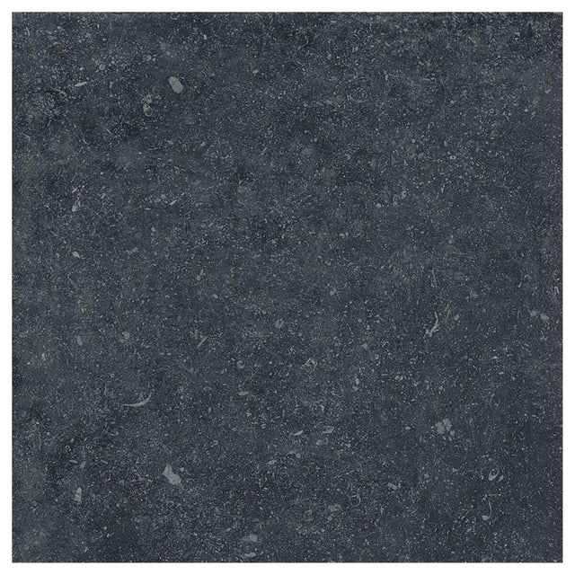 Large-426090.jpg