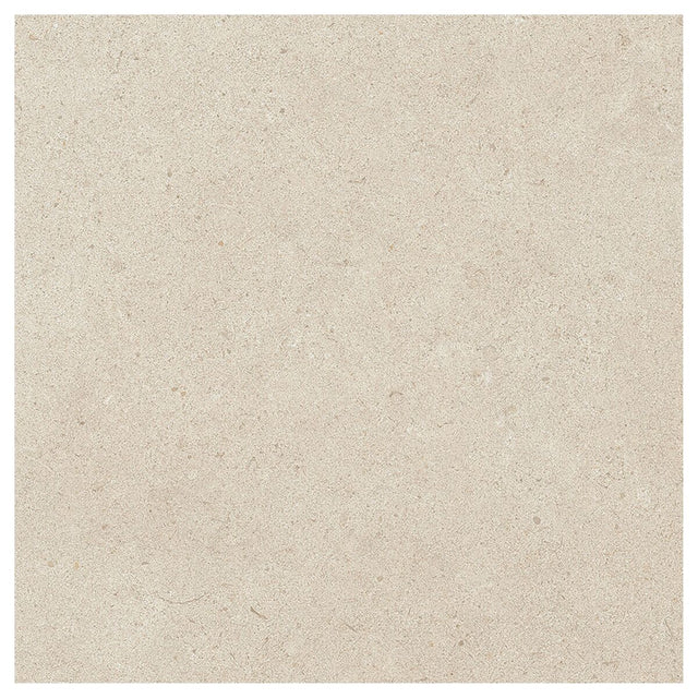 Large-426091.jpg