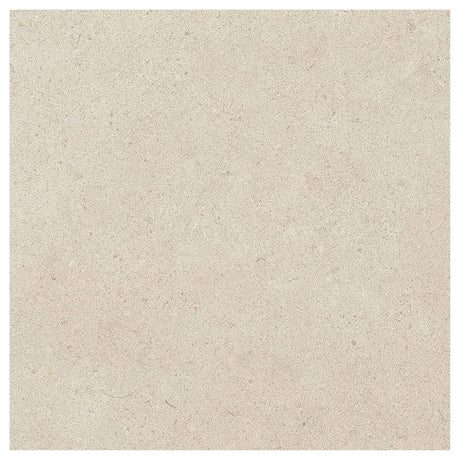 Large-426091.jpg