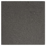 TERRASTEGEL-ANTRACIET-ONGECOAT.jpg