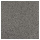 TERRASTEGEL 40x40x3,9 CM GRIJS - ONGECOAT	.jpg