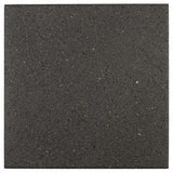 TERRASTEGEL ANTRACIET - MET C-COAT	.jpg